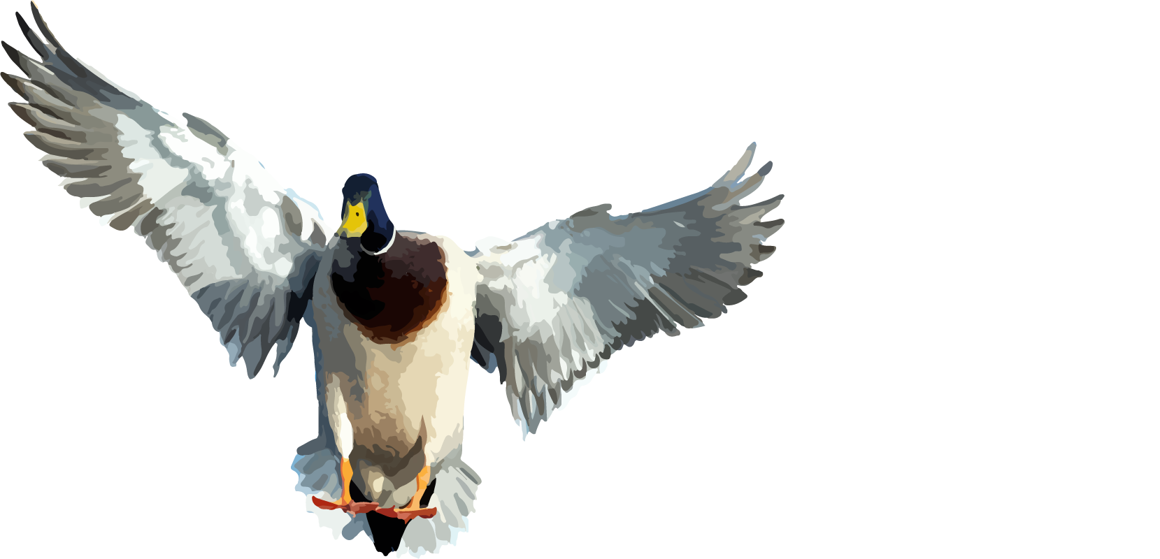 The Whack Shack — Custom Duck Blinds