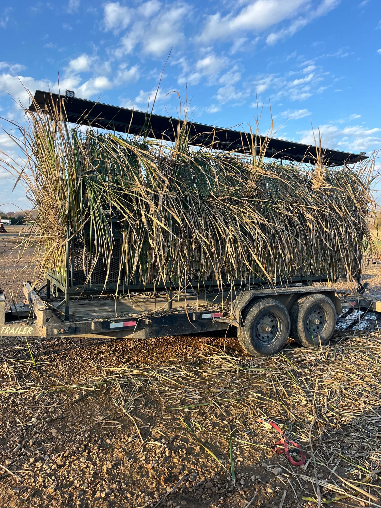 Skid blind brushed in with natural camouflage in the field